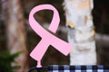 Awareness Ribbon Garden Flag Holder by Rustic Shoe, Awareness Art Décor, Ribbon Flag Holder, Ribbon Yard Art, Awareness Flag Stand