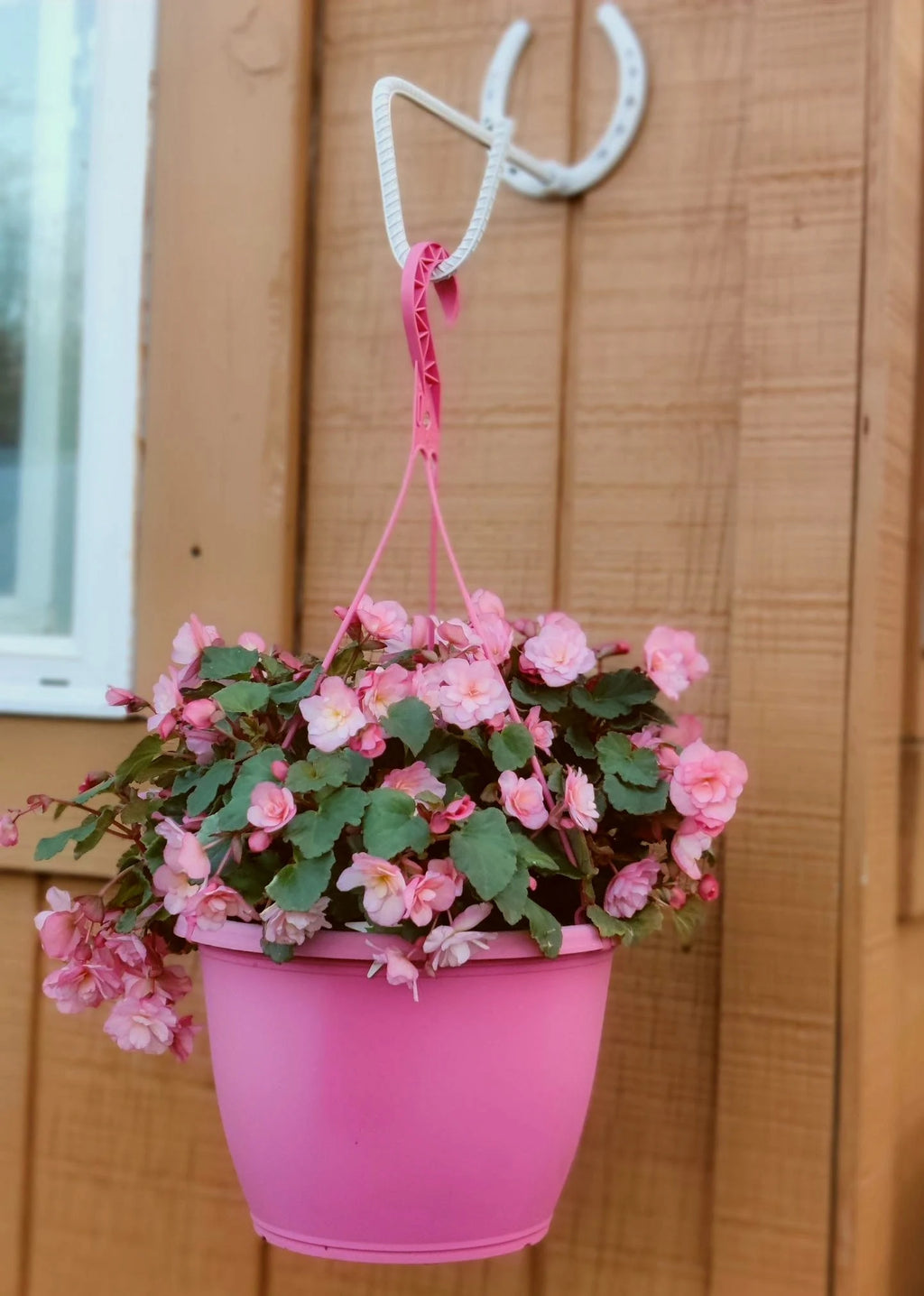 Bon Flower Plant Hanger, Flower Hook, Plant Hook, Flower Pot Hanging Bracket, Flower Basket Hanger, Bird Feeder Hanger, Lantern Hanger