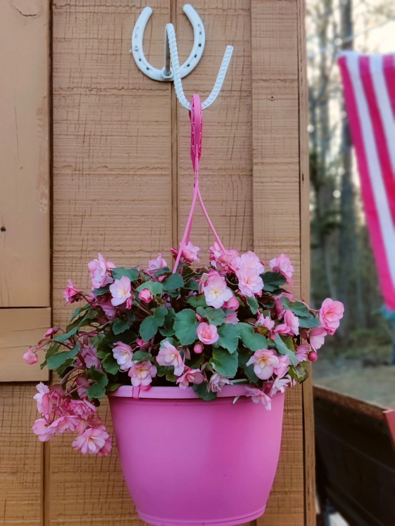 Bon Flower Plant Hanger, Flower Hook, Plant Hook, Flower Pot Hanging Bracket, Flower Basket Hanger, Bird Feeder Hanger, Lantern Hanger