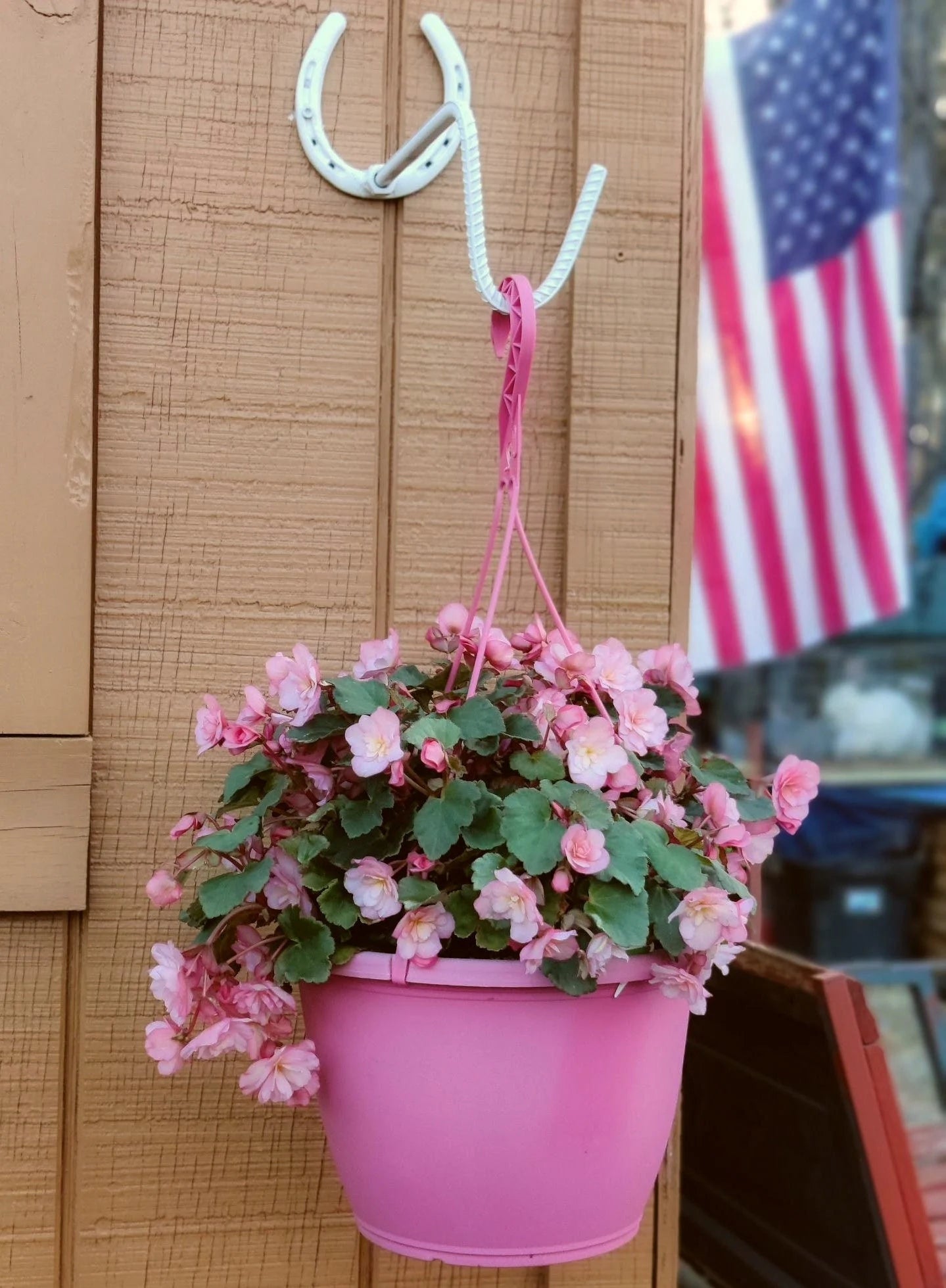 Bon Flower Plant Hanger, Flower Hook, Plant Hook, Flower Pot Hanging Bracket, Flower Basket Hanger, Bird Feeder Hanger, Lantern Hanger