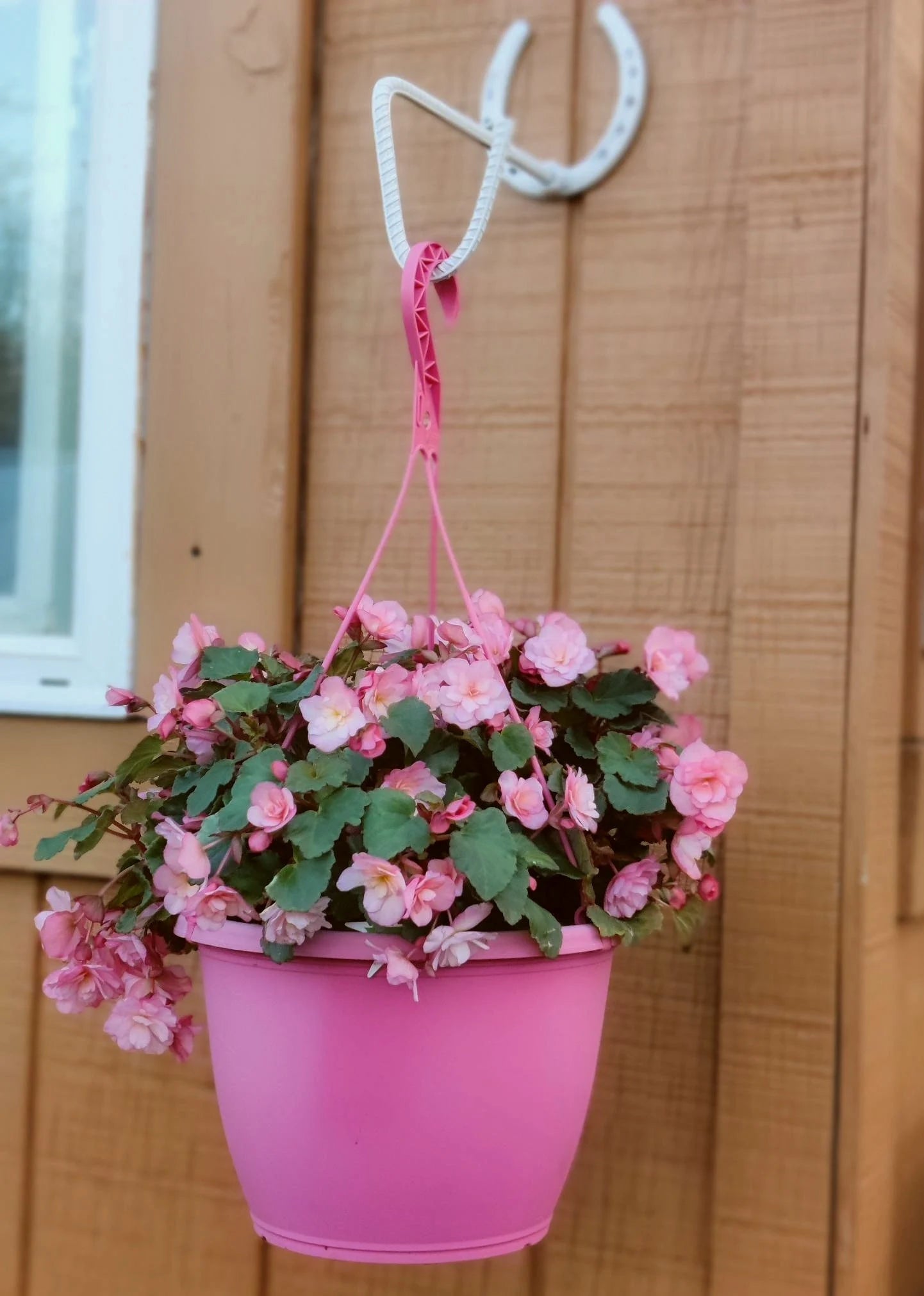 Bon Flower Plant Hanger, Flower Hook, Plant Hook, Flower Pot Hanging Bracket, Flower Basket Hanger, Bird Feeder Hanger, Lantern Hanger